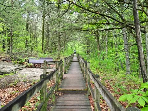 Down the path to the drone pilot DJI 0337 Stock Photos