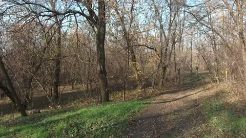 Down the path in an old abandoned park in Mariupol 2021 Before the war Peaceful Stock Footage 237866539