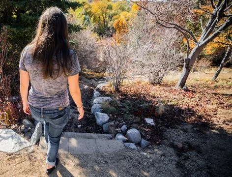 DOWN THE PATH Stock Photos