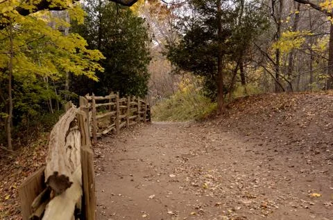 Down The Path 写真素材