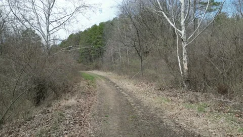 Down the pathway at Rocky Fork Stock Footage 236942371