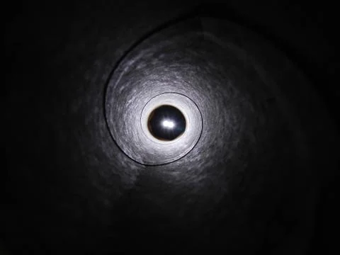 Down The Rabbit Hole Stock Photos