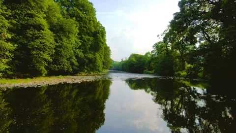 Down River 2 動画素材 243461266