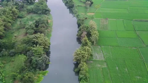 Down The River From Above Stock Footage 246794307