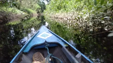 Down the river by boat Stock Footage 210955893
