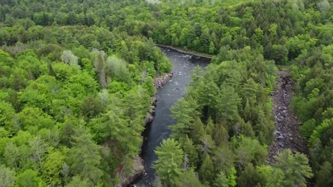 Down River Flight in a Dense Forest in Rawdon, Canada. Stock Footage 158181752