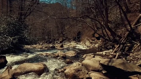 Down the River Vídeo Stock 75821911