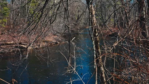 Down the river Stock-Footage 331656556