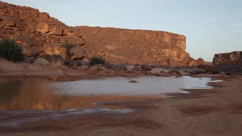 Down the river at Mauritania desert Stockbeeldmateriaal 152310311