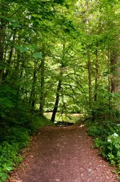 Down to the river Stock Photos