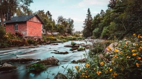 Down by the river 스톡 사진