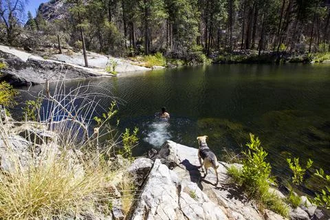 Down By The River. Stock Photos