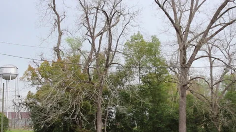 Down the Road Video stock 48784578