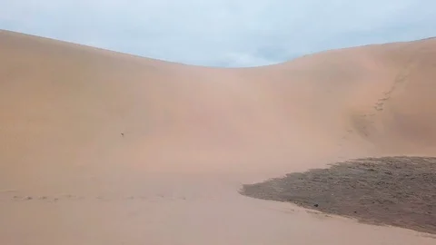 Down up shot of desert sand dunes near the city and the ocean. Beautiful nature Stock Footage 95904245