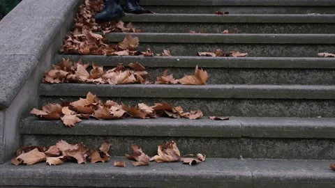 Down stairs in autumn Stock Footage 172172798