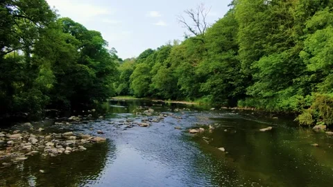 Down Stream 1 動画素材 243461422