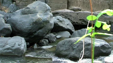 Down Stream Видео 263252