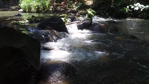 Down By the Stream Stock Footage 97426718