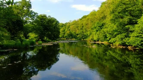 Down Stream slow Good 動画素材 243461674