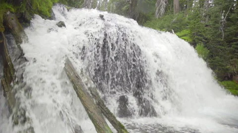 Down tilt of waterfall and moss Stock Footage 59130942