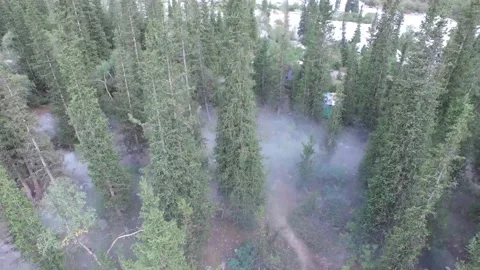 From down to top Stock Footage 154791312