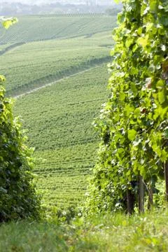 Down into the valley Stock Photos