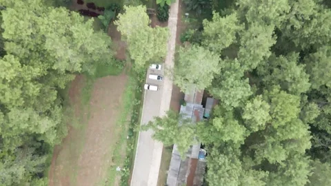 Up to the down view of the path in the middle of the forest Stock Footage 259793938