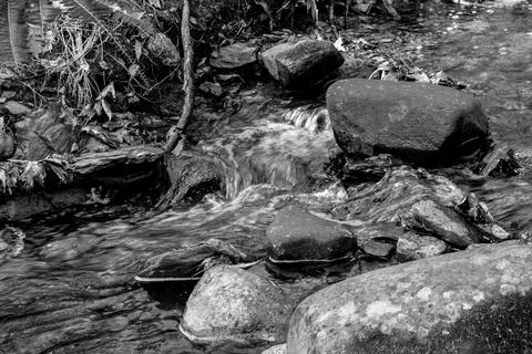 Down by the waters edge Stock Photos