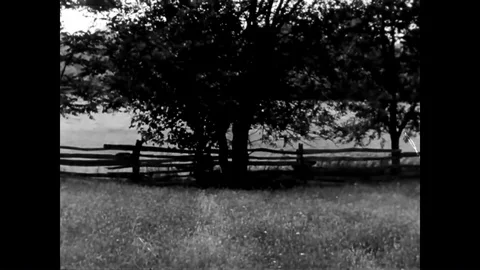 A downed airman climbs down from a tree and joins his comrade in a field in Stock Footage 90459138
