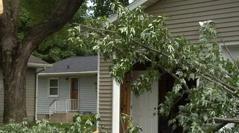 Downed Limbs By Garage2 Vidéo 33533469