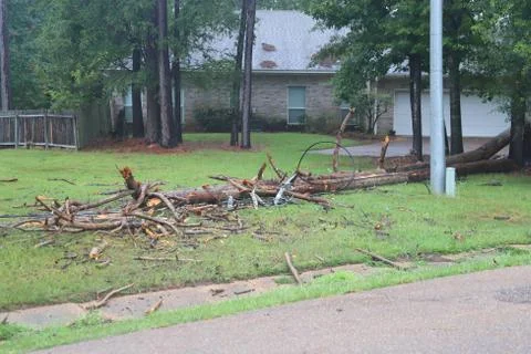 Downed Power Lines in Fallen Trees Stock Photos