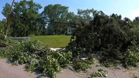 Downed Trees and Powerlines Armada, Michigan Tornado Damage Climate Change 4K Video stock 157739364