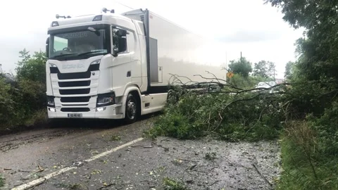 Downed trees block roads in County Cork Stock Footage 148558444
