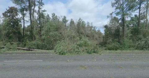 Downed trees on highway after Hurricane Ida Louisiana Stock Footage 190645136