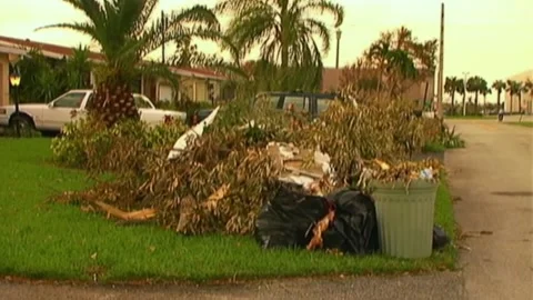 Downed Trees in Trash Cans and Bags After Hurricane Wilma Stock Footage 291000574