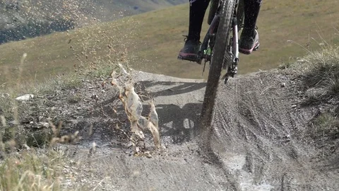 Downhill bike Video stock 90229458