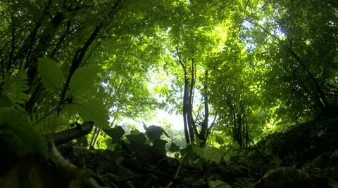 Downhill cyclist going almost over the camera Stock Footage 56352889