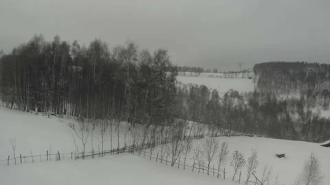 Downhill flight over a snow - covered forest 58 Stock Footage 148341279