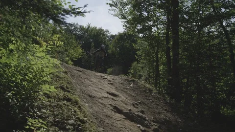 Downhill mountain bike forest path Stock Footage 119033499