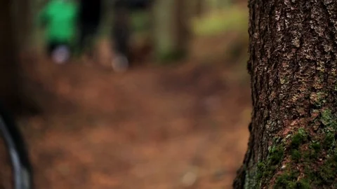 Downhill mountain biker Stock Footage 87473509
