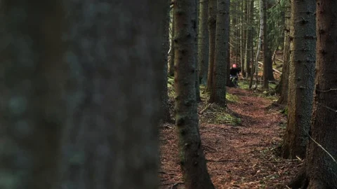 Downhill mountain biker Stock Footage 87473936