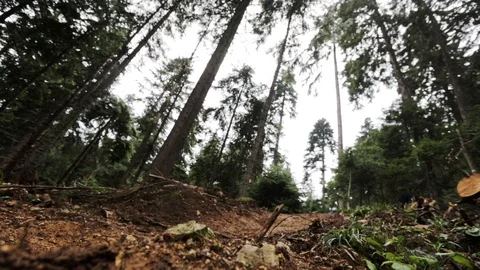 Downhill mountain biker Stock Footage 87473949