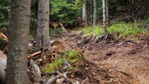 Downhill mountain biker Stock Footage 87473963