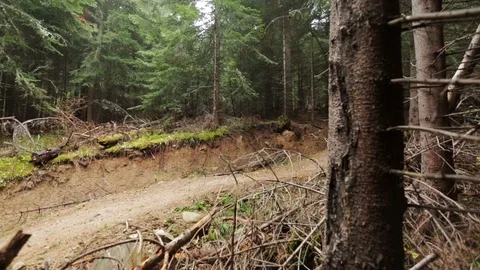 Downhill mountain biker Stock Footage 87474467