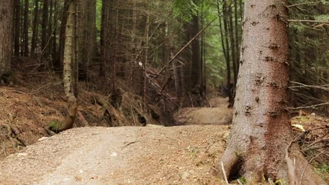 Downhill mountain biker Stock Footage 87474476