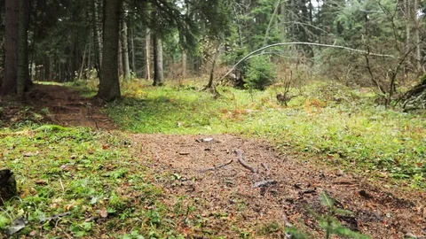 Downhill mountain biker Stock Footage 87475490