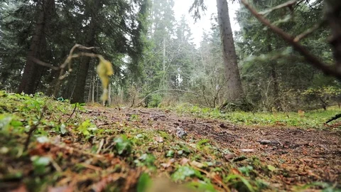 Downhill mountain biker Stock Footage 87475620