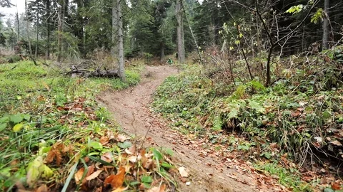 Downhill mountain biker Stock Footage 87477725