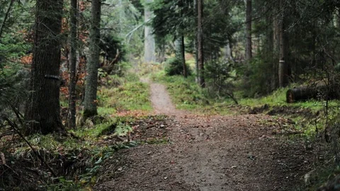 Downhill mountain biker Stock Footage 87478017