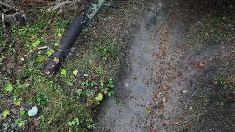 Downhill mountain biker Stock Footage 87478192